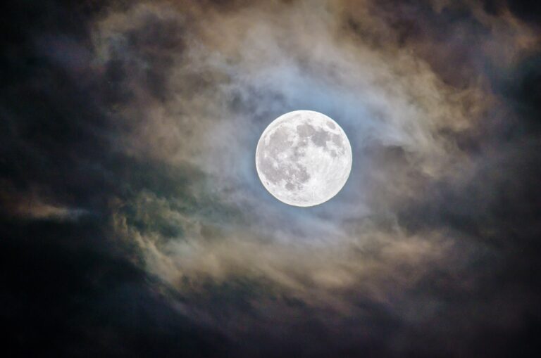 Moon Moon